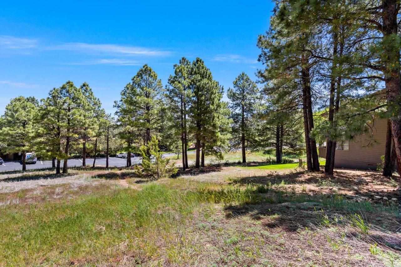 Delightful 1 Bdrm Country Club Retreat With Mt Elden Views! Villa Flagstaff Exteriör bild