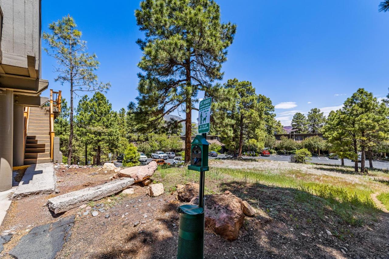 Delightful 1 Bdrm Country Club Retreat With Mt Elden Views! Villa Flagstaff Exteriör bild